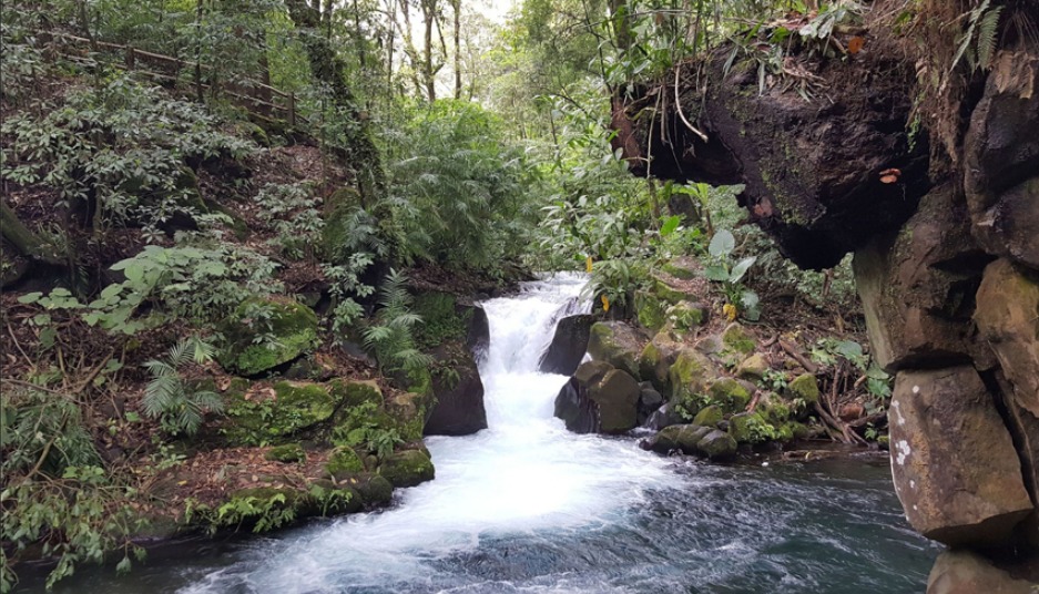 Barranca del Cupatitzio río