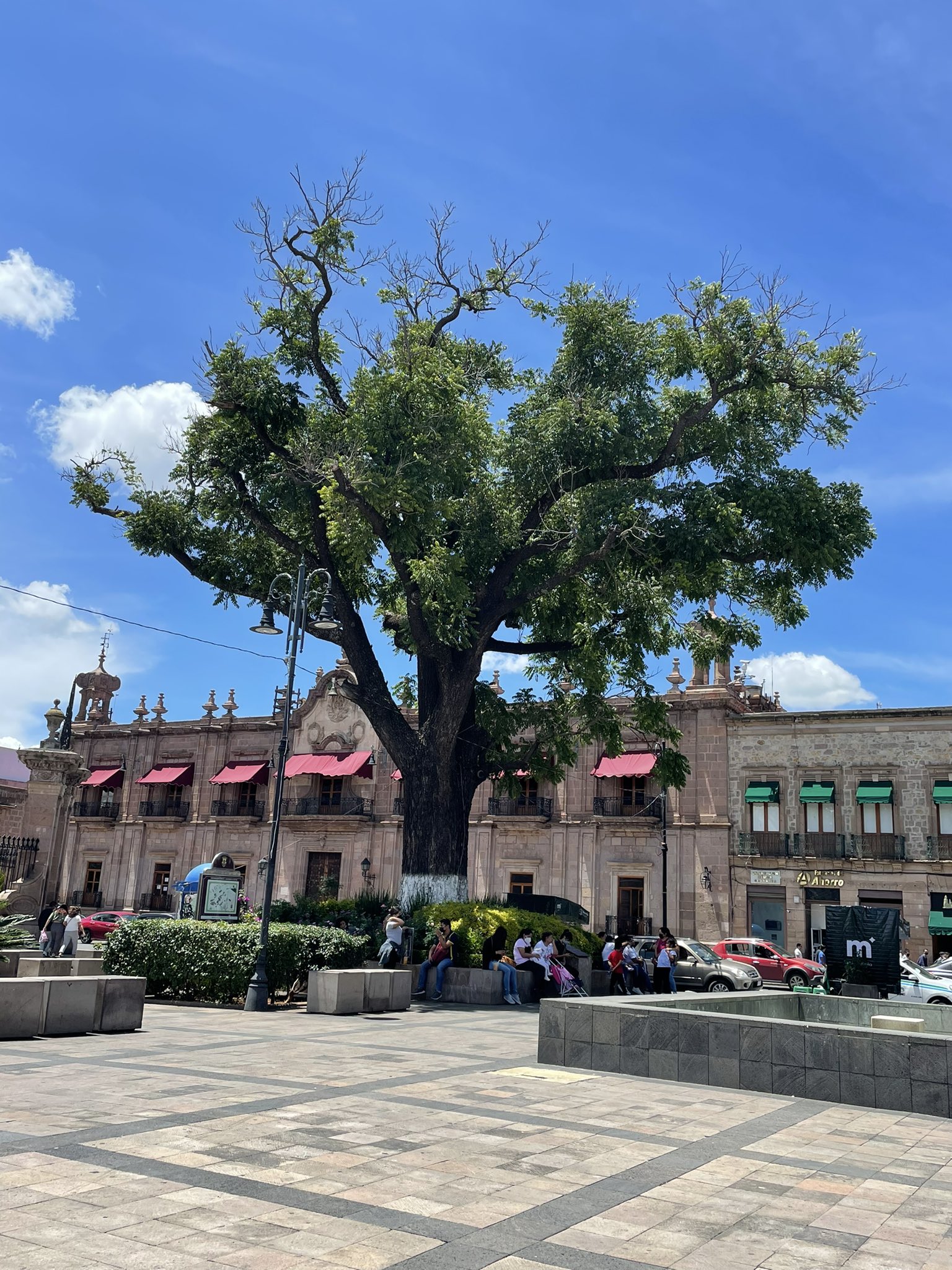 ¿Cómo es la ciudad de Morelia?