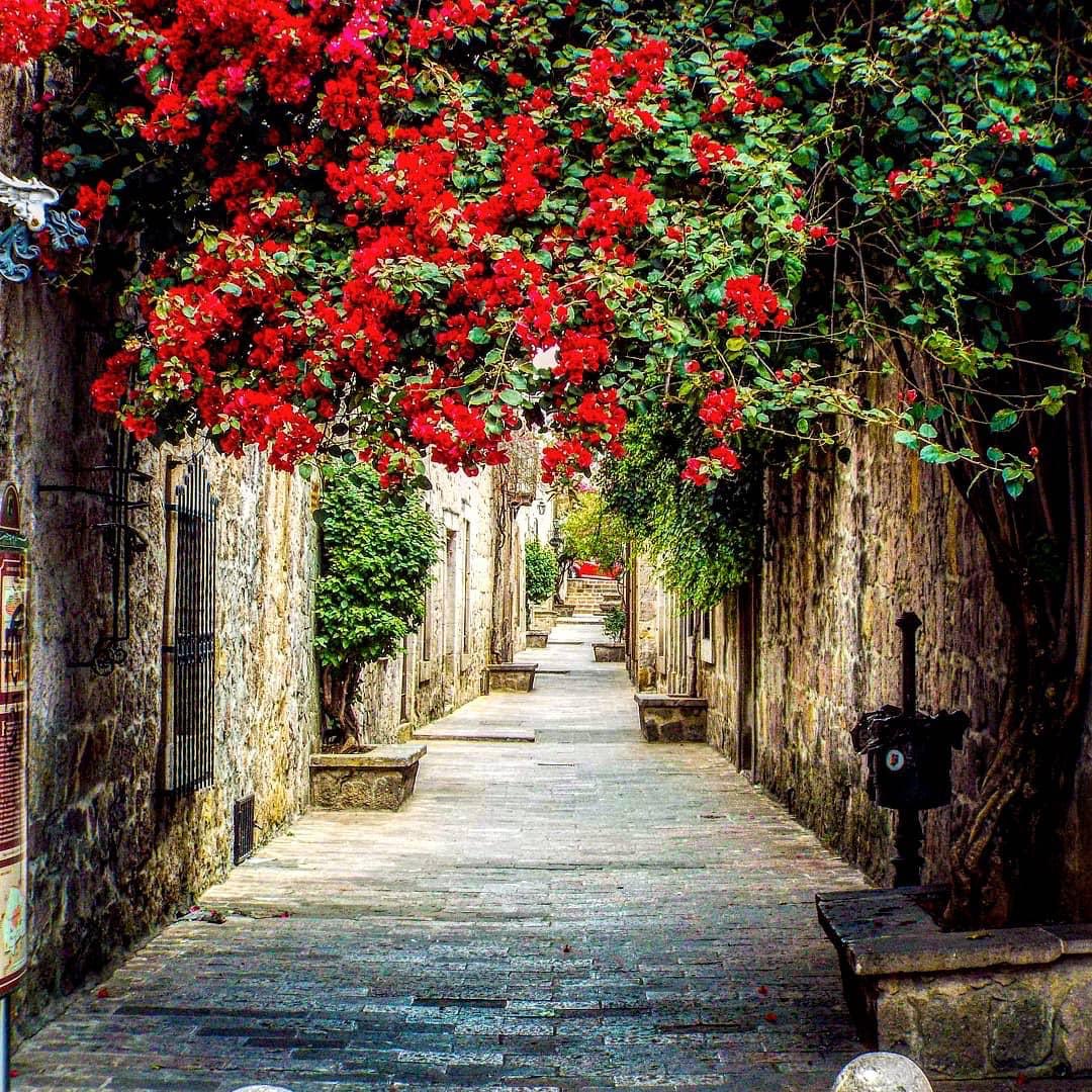 Belleza en el callejón del romance